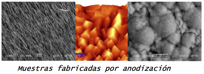 muestras